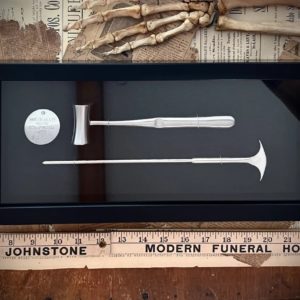 Lobotomy Shadowbox Display