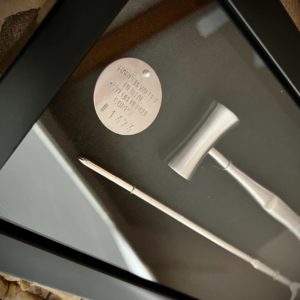 Lobotomy Shadowbox Display